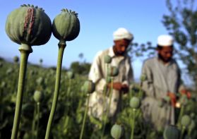 Sourse http://listcrux.com/top-10-countries-known-for-producing-opium/