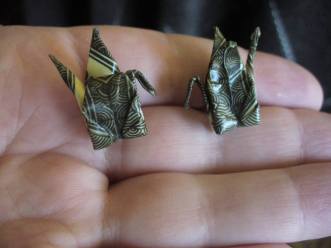 11752517_10153523466147028_8819423392752432881_n